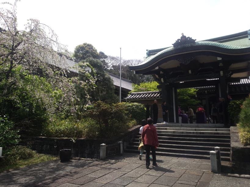 170416花まつり２